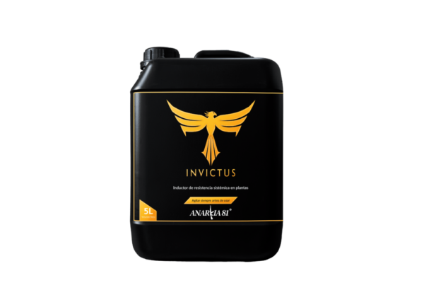 INVICTUS 5L ANARKIA81