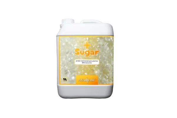 MORE SUGAR 5L ANARKIA81